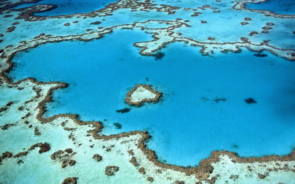 Diving in Australia